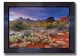 Metal Print - Shadow Grande Frame