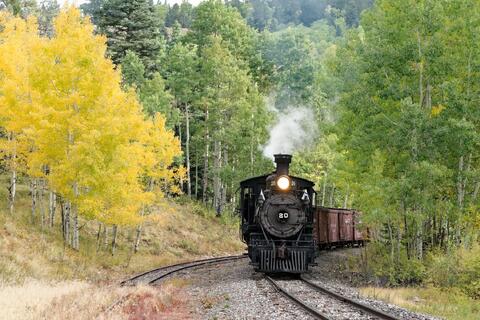 Aspens Are Changing