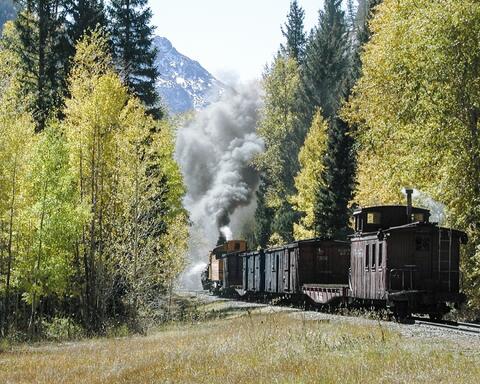 Narrow Gauge Freight Through Elk Park