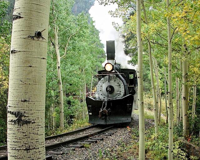 Among The Aspens print
