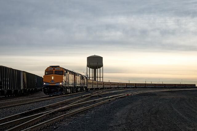 Highball North Yard print
