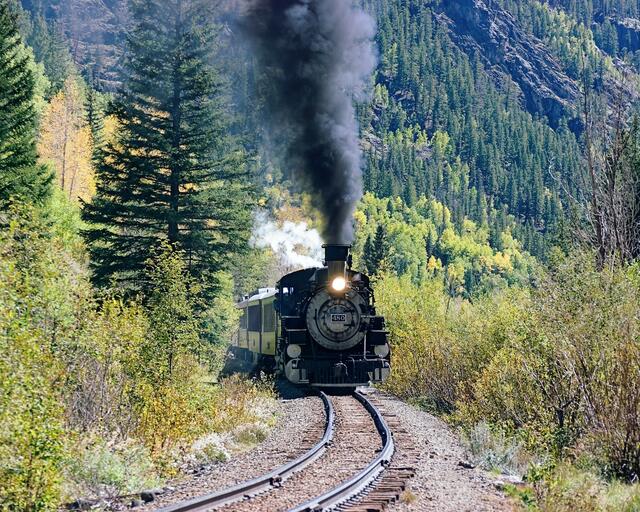 Just Follow The Track
