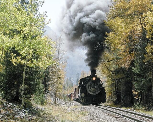 Smoke In The Trees print