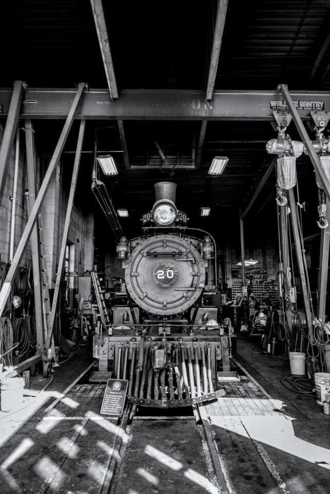 RGS 20 In Her Stall