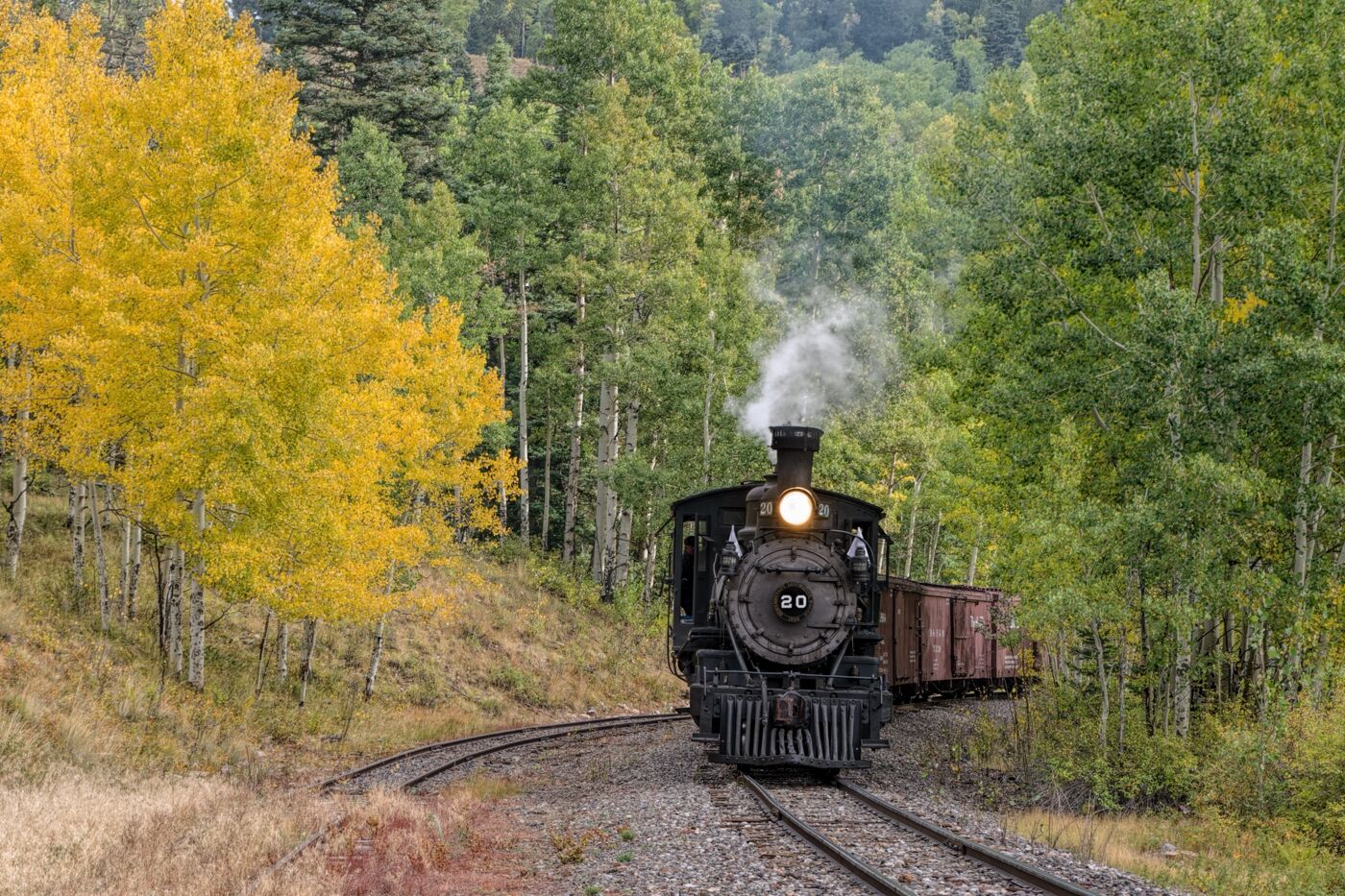 Rio Grande Southern number 20 makes its way to Oiser on a colorful fall day on the Cumbres and Toltec Scenic Railroad.