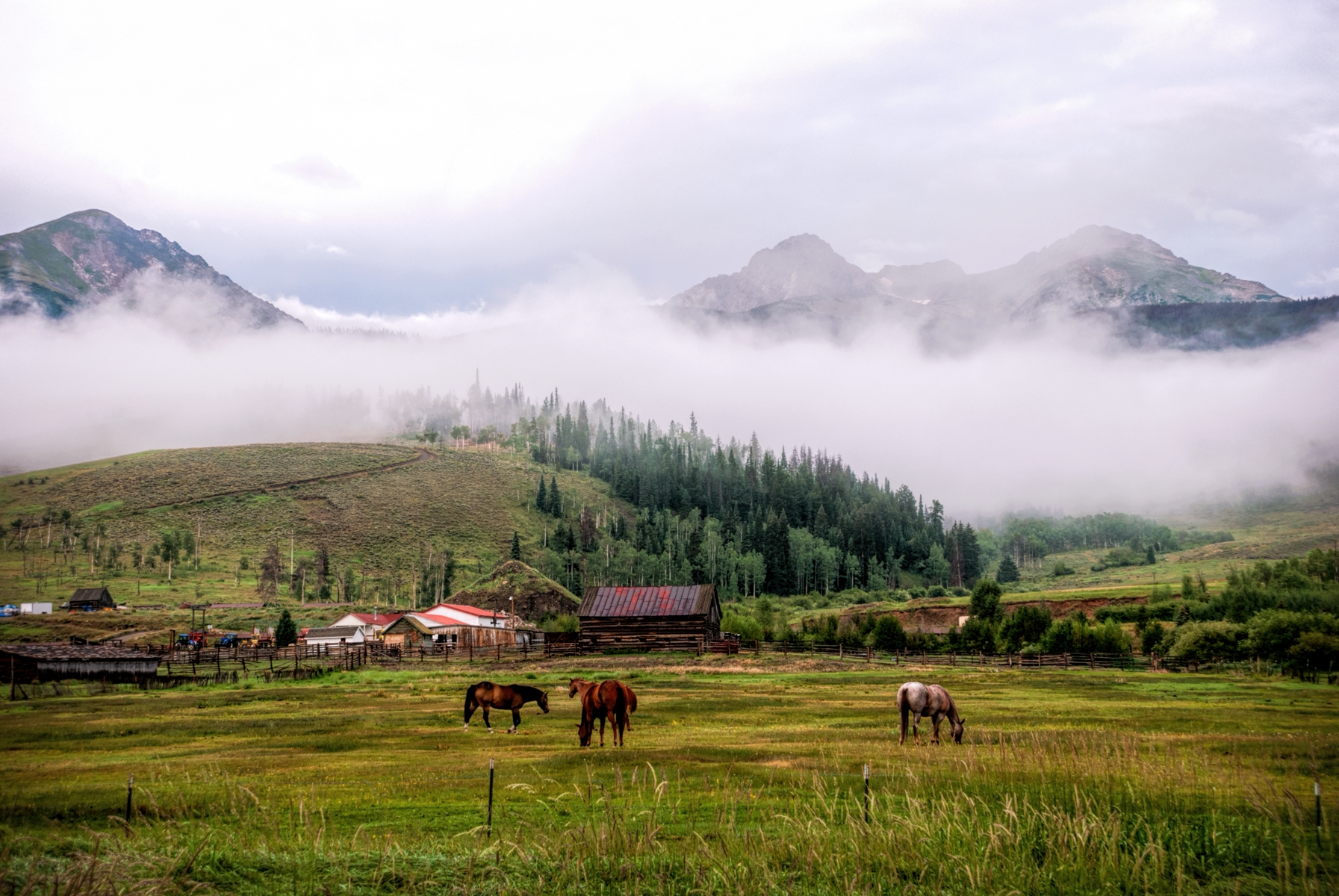 Horses graze at a ranch in Summit County