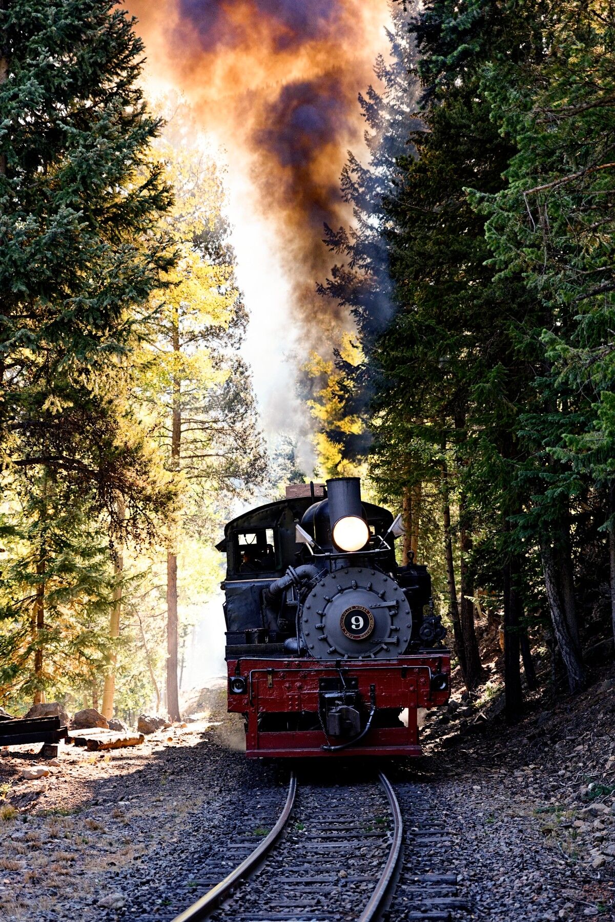 Shadow With A Shay Shay locomotive #9 plays with shadow and light with some fall colors.