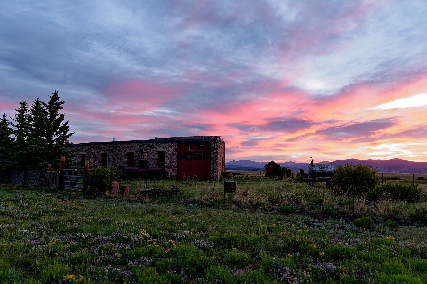 Sunrise And Wildflowers Wildflowers go nicely with a South Park sunrise at the Como Roundhouse in Colorado.