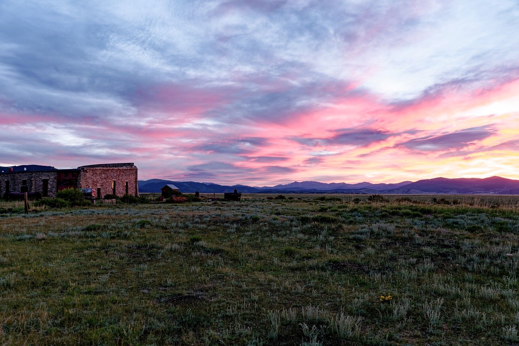 Sunrise Flower A lone flower glows during a South Park sunrise at the Como Roundhouse in Colorado.