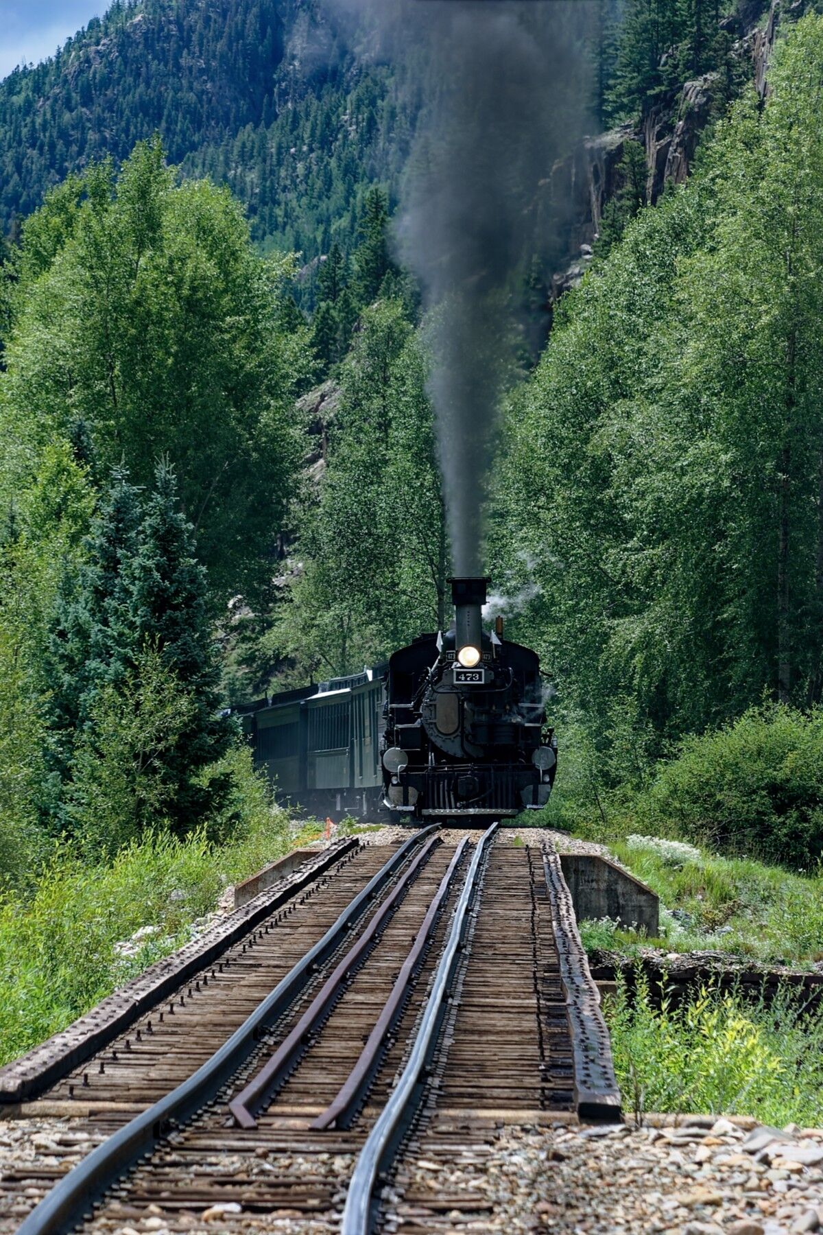 Working hard and on time getting the passengers to Silverton Colorado on time. Mid Summer and everything is green green green...