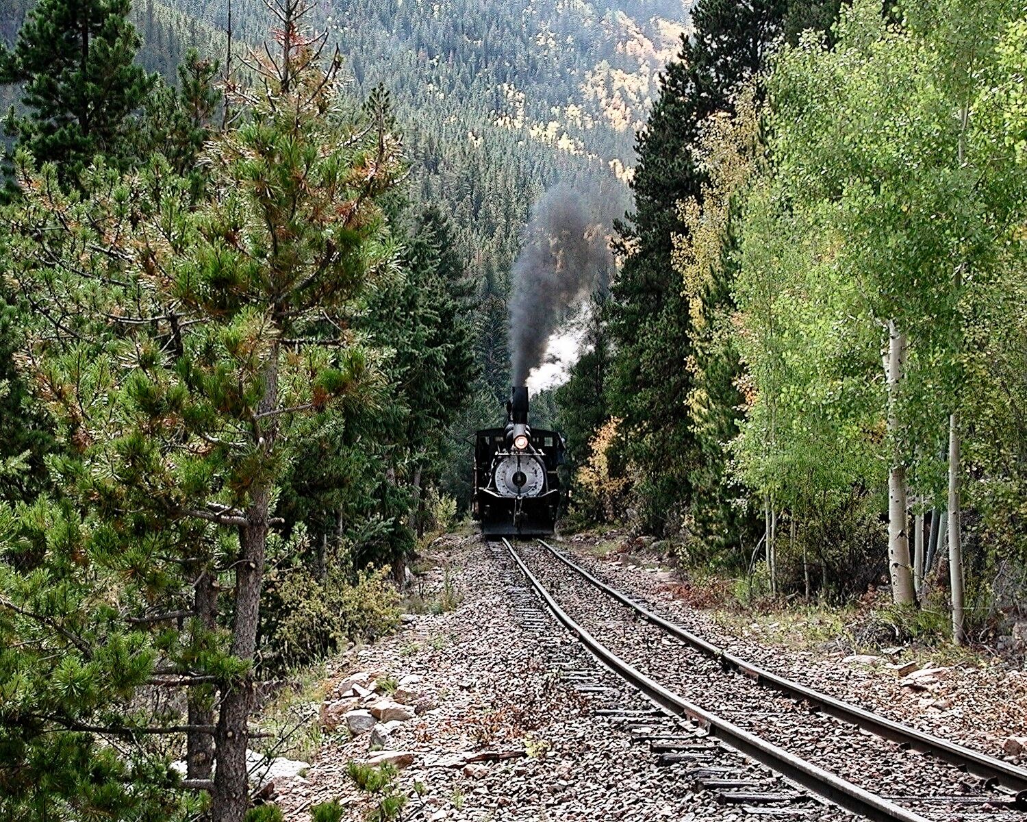 Working The Hill Heading to Silver Plume but first needs to work this hill before the bridge. At the Georgetown Loop Railroad.